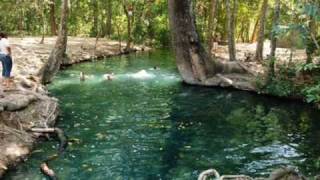 Video thumbnail of "laguna vieja reinaldo armas"