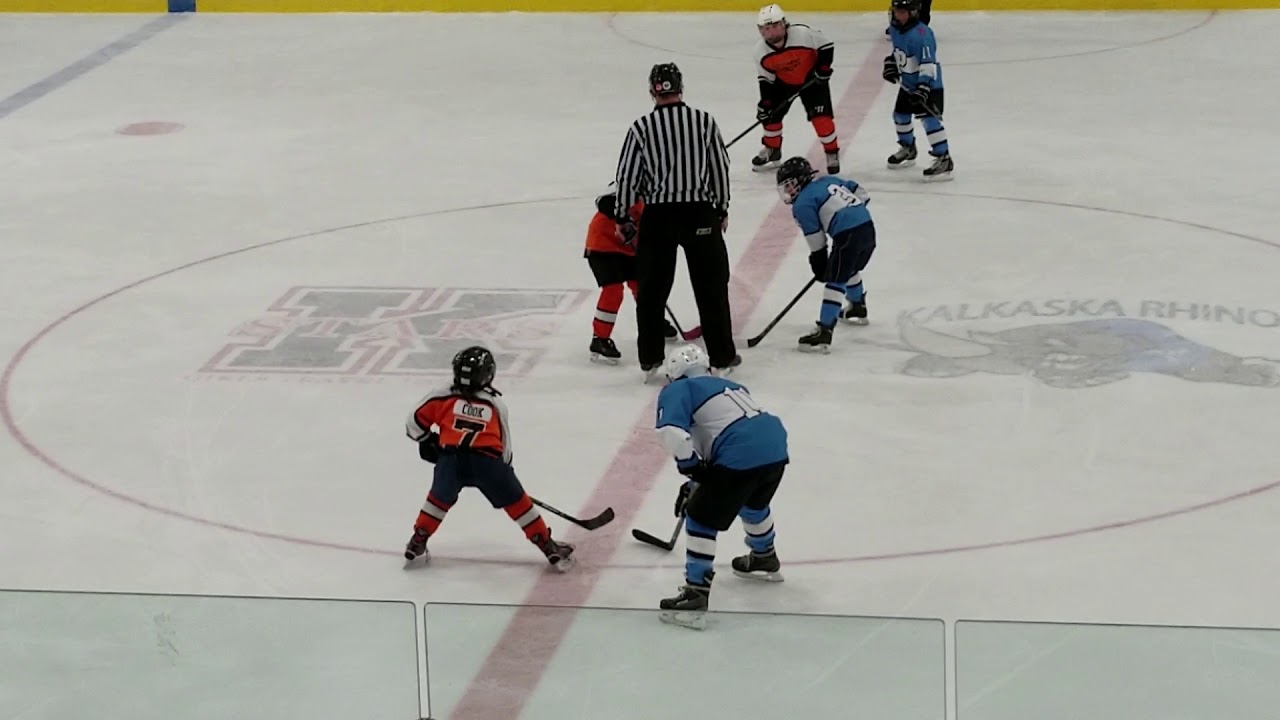 Play It Again Sports vs Petoskey Northmen 2nd period Districts 02/09/19
