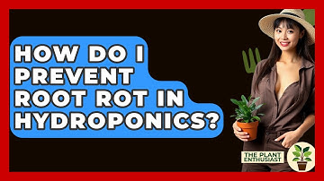 How Do I Prevent Root Rot In Hydroponics? - The Plant Enthusiast