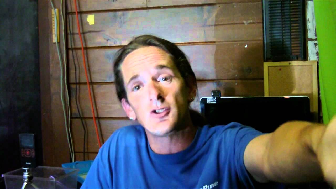 spitting feathers Reptile News: 260 Baby alligators taken from the wild, men arrested.