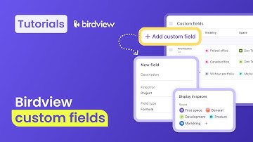 Custom Fields | Birdview tutorial