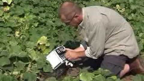 Decagon 10HS sensor installation - by MMM tech support