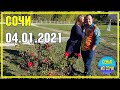 СОЧИ | "ЮЖНЫЕ КУЛЬТУРЫ" | 04.01.2021 | Субтропический рай в отдельно взятом городе