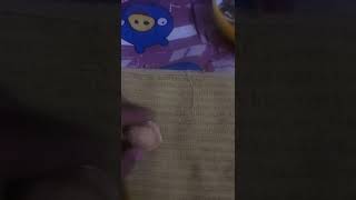 Fossil in the walnut