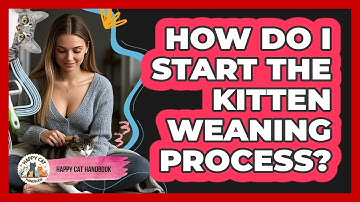 How Do I Start The Kitten Weaning Process? - Happy Cat Handbook
