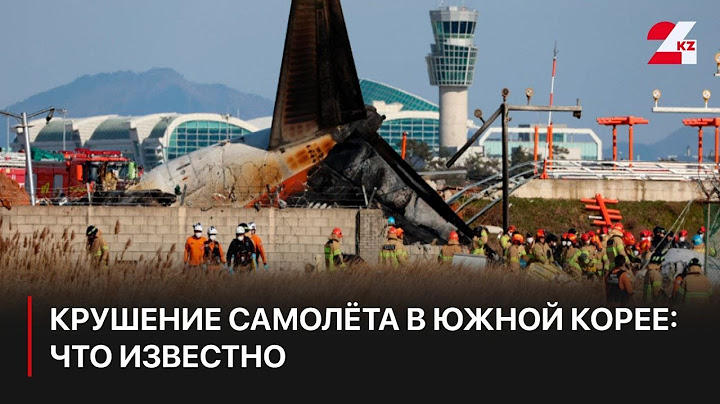 Крушение самолёта в Южной Корее: что известно к этому часу