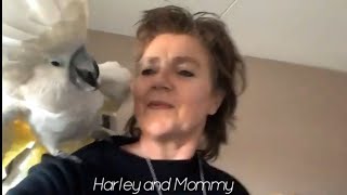 💞Harley And Mommy Dancing On Coldplay 💞