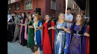 Sevda - Serhat - Togn - Ailesi - 2021 - Halay - Kurdish Dance - Istanbul