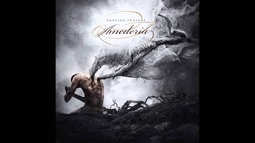 Amederia  - Who we are (2014)
