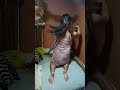 gusto ni misis kumain kaya pinaalis ang Anak namin 😁 #postviralvideo #funny #highlight