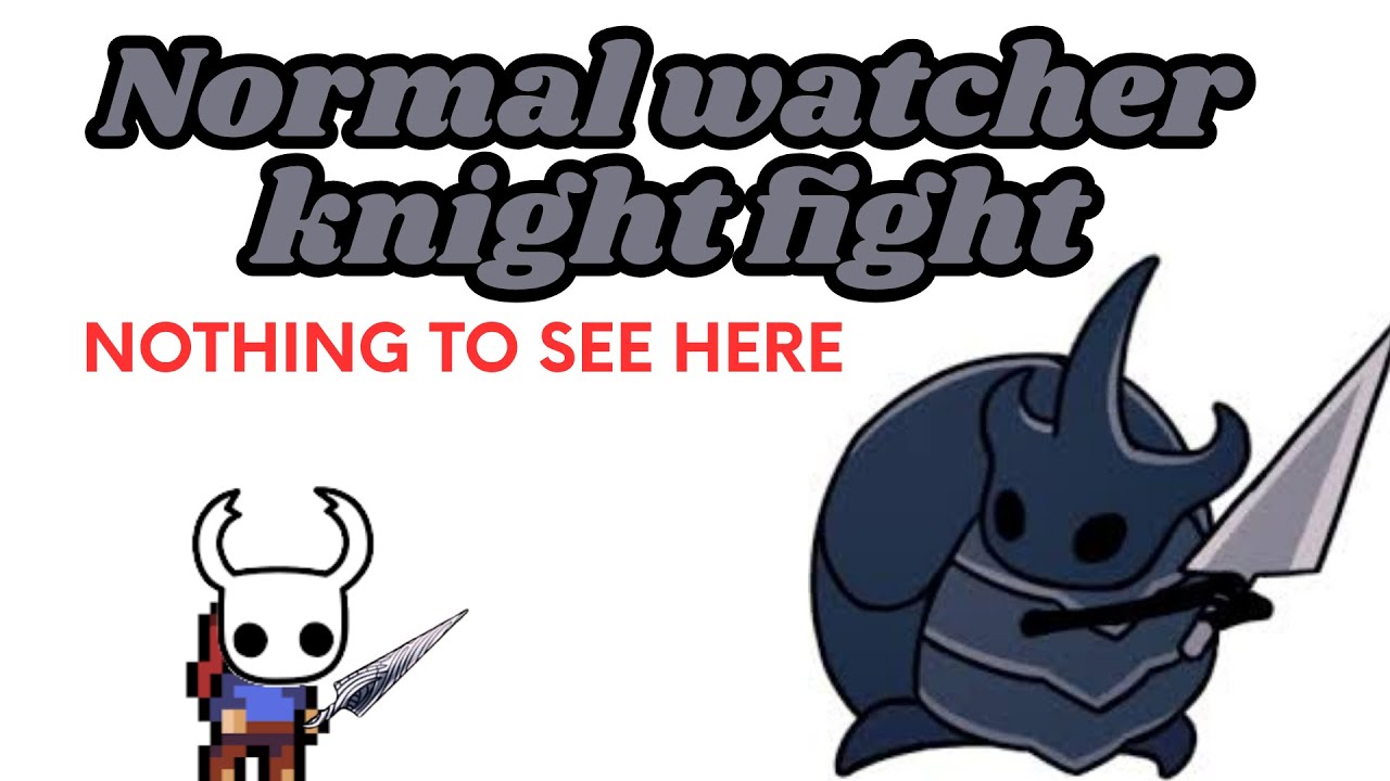 Fighting the watcher knights but im very good at dash