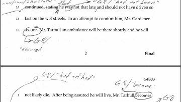 Legal Writing Error-Spotting / Editing Exercise -- Podcast 2013.0922.1500, review of 54803