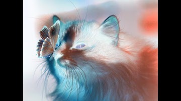 Stanford Code in Place Final Project- Short Demo