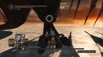 DARK SOULS 2 Ancient Dragon +6