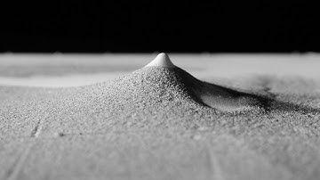 Perpetual Adaptive Community