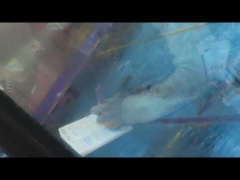 李君芮參加2018年YMCA游泳學校永吉會所游泳檢定（蛙式）