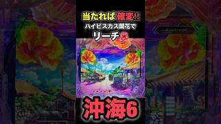 【沖海6】当たれば確変⭐️ハイビスカス開花でリーチ