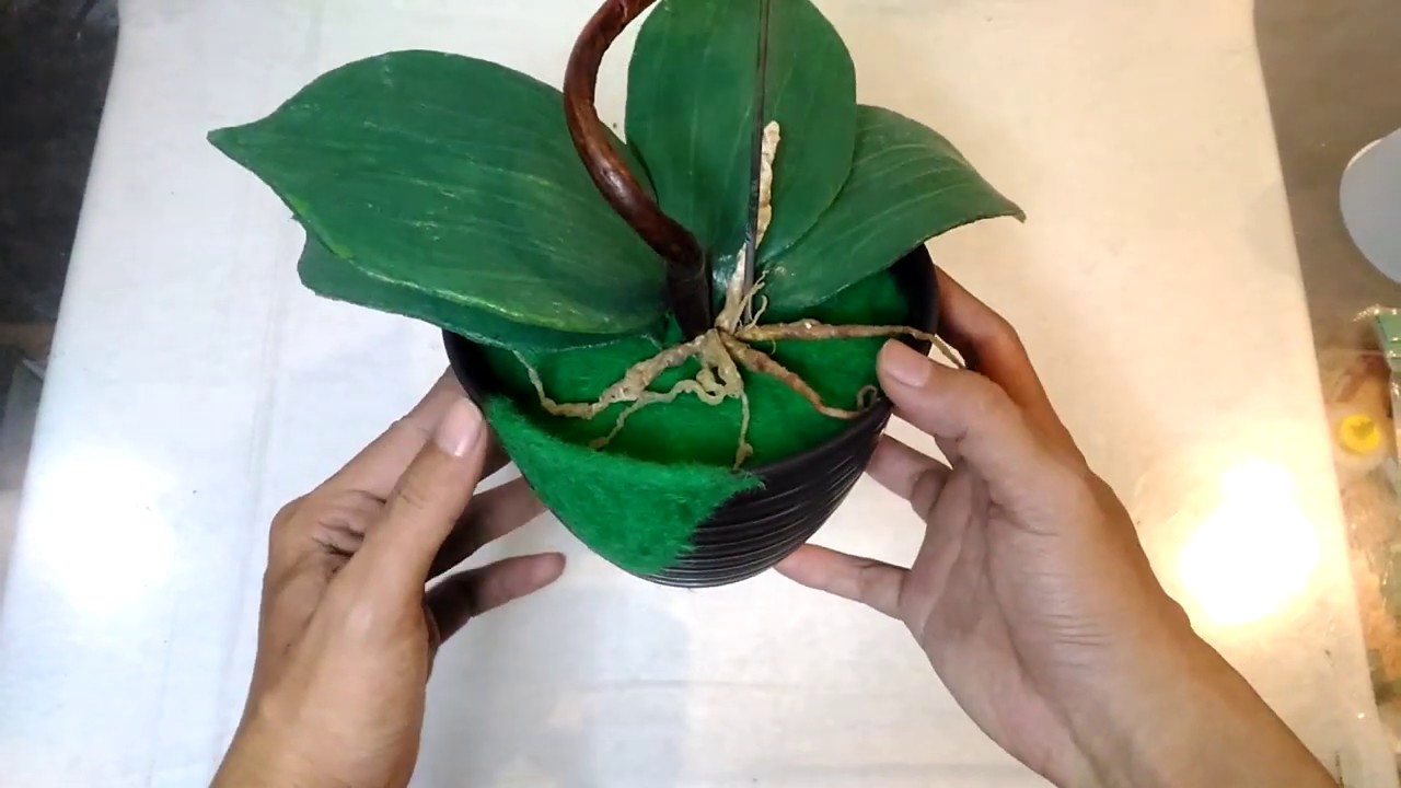 LUMUT RUMPUT artificial sintesis