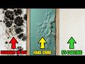Your Home Grows Mold by Design. This $5 FORGOTTEN Coating KILLS ALL Mold PERMENANTLY