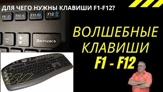 Для чего предназначены функциональные клавиши F1-F12? Как быстро работать за компьютером?