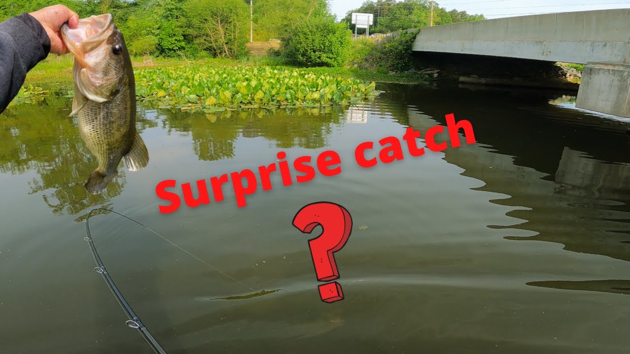 SURPRISE CATCH! Bass Fishing in Creeks ReVisited YouTube