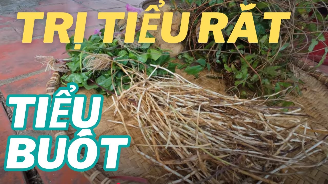 Bài Thuốc Số 1 Chữa Tiểu Rắt Tiểu Buốt Mà Rất Ít Người Biết - YouTube