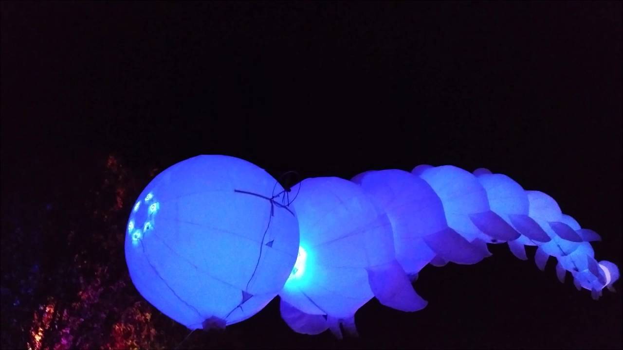 Fusion Festival 2016 light dragons