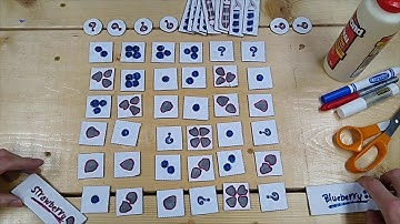 Berrymandering Print and Play Construction Tutorial