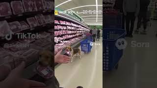 Bro did not want to pay #ai #sora2 #shorts #funny #dog #bodycam #tiktok (via airkiller/tiktok)