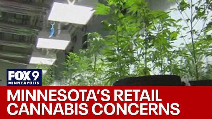 Minnesota’s retail cannabis market rollout continues to see supply, license concerns