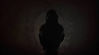 Celebrity The Raven Edgar Allan Poe Animation (Amplify) Net Worth