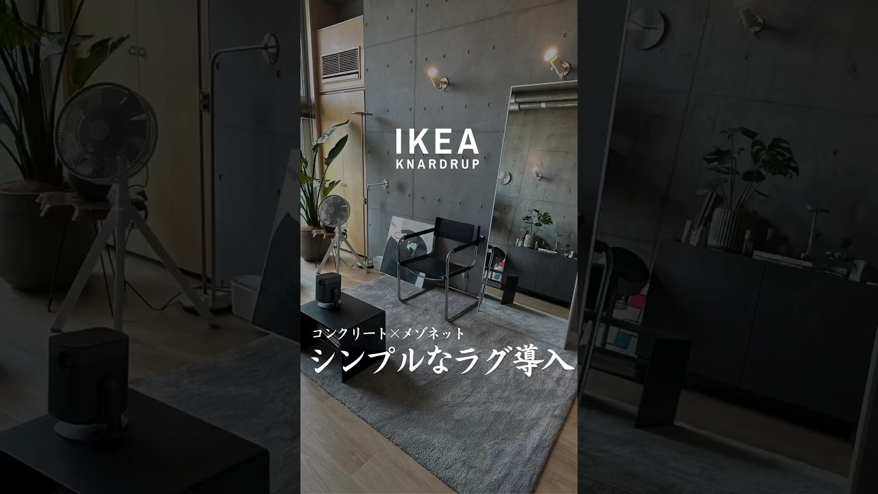 シンプルラグ導入】#ラグ #カーペット #インテリア #ikea #イケア