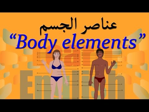 5 عناصر الجسم Body Elements باللغة الإنجليزية وطريقة نطقها السليم