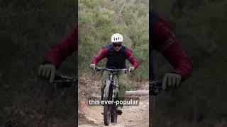 The New Fox 38 Reviewed!