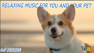 Puppy mental stability and relaxation music  healing, stressrelieving mus...