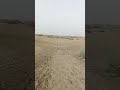 Desde el mirador de las dunas, Maspalomas