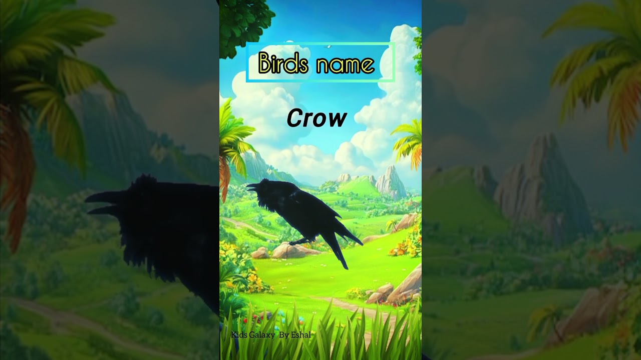 Learn Birds Names 🐦🦅 | Sparrow, Dove, Eagle & More for Kids!