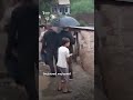 СЕЛИ ХАРОБИОВАР ДАР НОҲИЯИ АЙНӢ