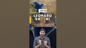 Jaipur बना "Leopard Capital of the World" #currentaffairs #1stgradegk #education #viralvideo