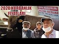 KURBAN AMCANIN KURBANLARI(2020 KURBANLIKLAR)