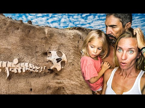 Strangest Beach Find EVER 💀 Sailing Vessel Delos Ep. 448