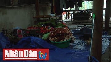 Lào Cai: Thiệt hại hơn 5 tỷ đồng do mưa đá