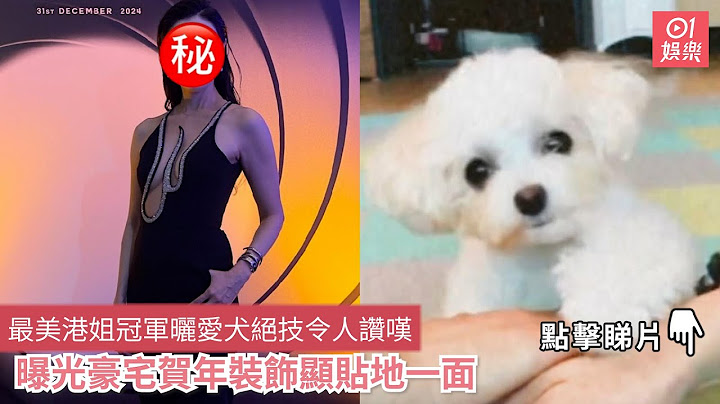 最美港姐冠軍曬愛犬絕技令人讚嘆　曝光豪宅賀年裝飾顯貼地一面｜01娛樂