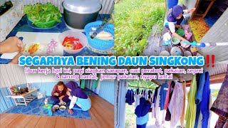 MASAK BENING DAUN SINGKONG‼️GORENG TEMPE & TELA-TELA UNTUK SARAPAN @SehaFamily