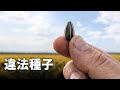企業が管理のために禁止した日常品