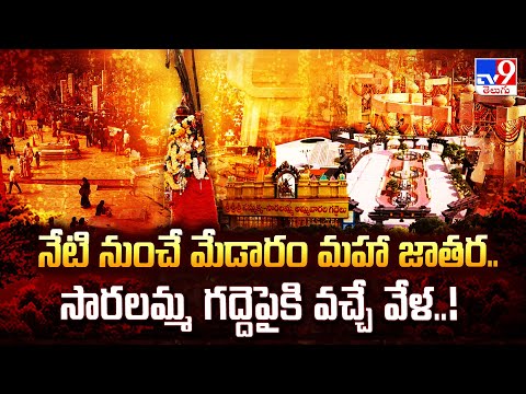 నేటి నుంచే మేడారం మహా జాతర.. సారలమ్మ గద్దెపైకి వచ్చే వేళ..! | Sammakka Saralamma Jatara - TV9 - TV9