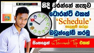 Download Torrent with night time data