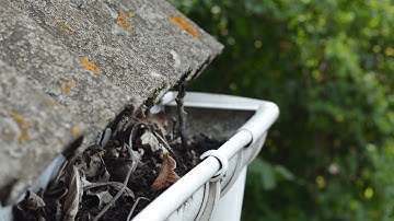 10 Signs of Clogged Gutters