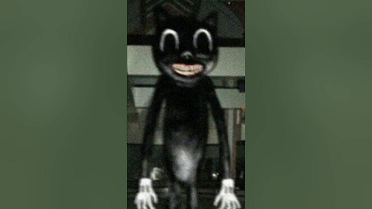 cartoon cat theme Song YouTube