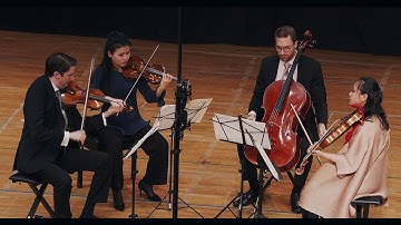 The Rosamunde String Quartet plays Mendelssohn Quartet No. 6: II. Allegro assai